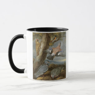 Mug Geai, pivert vert, pigeons et Redstart, c.165