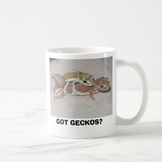 MUG GECKOS OBTENUS ?