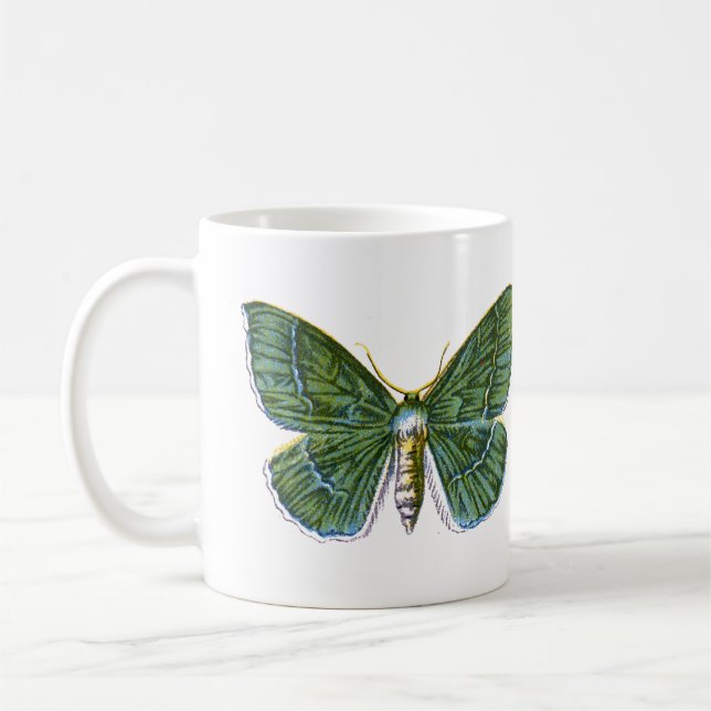 Mug Geometra papilionaria - La Grande Moth Émeraude (Gauche)