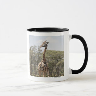 Mug Girafe 5