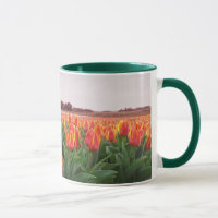 Gisement de fleur de tulipe et moulin à vent