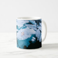 Glace et neige | Ours polaire, Océan Arctique, Sva