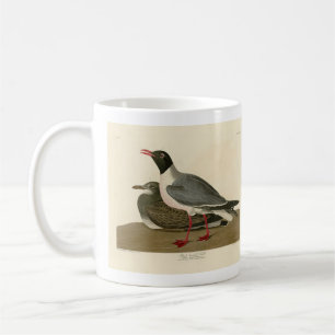 Mug Goéland à tête noire des oiseaux américains d'Audu