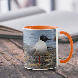 Mug Goéland de Bonaparte à la plage