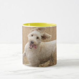 Mug Goldendoodle traverse l'herbe