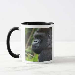 Mug Gorille des plaines à dos argenté, gorille captif