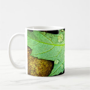 Mug Gouttes de pluie sur une feuille