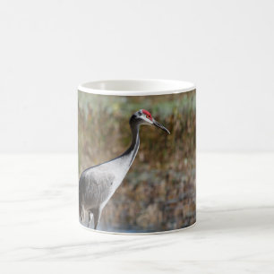 Mug Graine de Sandhill