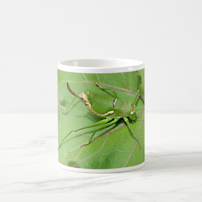 Mug Grasshopper sur la feuille vue de la carte postale (Centre)