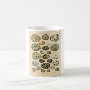 Mug Gravure à l'eau-forte zoologique classique - oeuf