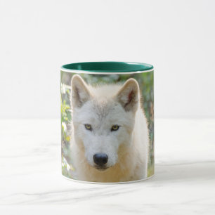Mug Gray Wolf, Canadian Animal Photography