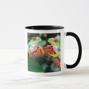 Mug Grenouille aux yeux rouges, Agalychinis callidryas