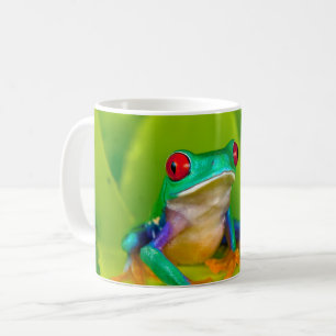 Mug Grenouille aux yeux rouges, Costa Rica