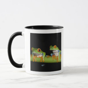 Mug Grenouilles d'arbre aux yeux rouges (callidryas