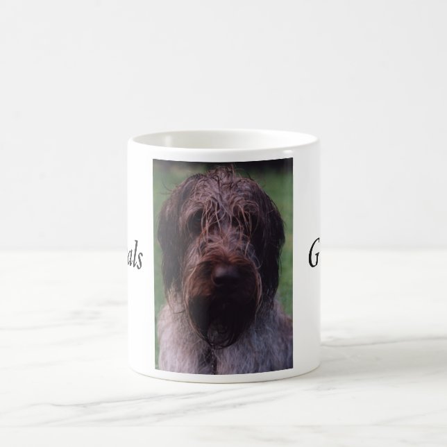 Mug Griffon de Korthals - portrait de Tsjip (Centre)