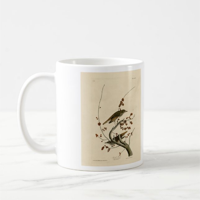 Mug Grive d'ermite des oiseaux d'Amérique d'Audubon (Gauche)