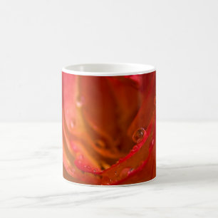 Mug Gros plan Red Rose