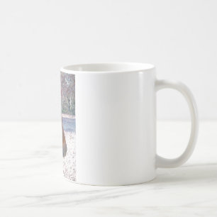 Mug Gros plan sur un cheval brun, petit poney brun