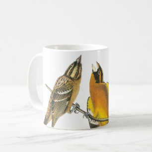 Mug Grosbeak à tête noire par Audubon