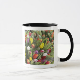 Mug Groupes de tulipes colorées
