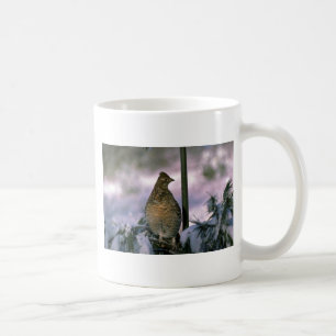 Mug Grouse de Ruffed étée perché dans l'arbre neige