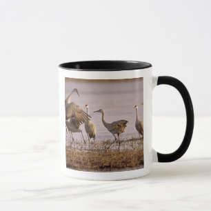 Mug Grues du Canada Grus canadensis) Platte