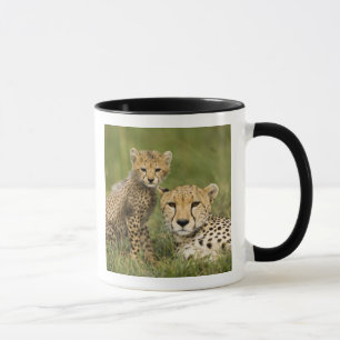 Mug Guépard, Acinonyx jubatus, avec un petit
