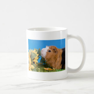 Mug guinea pig
