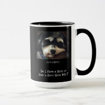 Havanese-ai-je un Havi ?