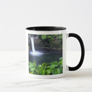 Mug Hawaii, Grande Île, Hilo, Chutes de Rainbow, Luxur