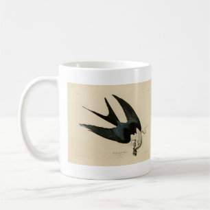 Mug Hawk à queue avale - Audubon's Birds of America