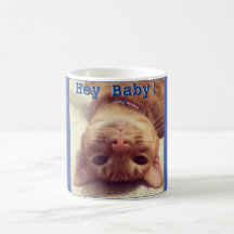 Hé, bébé ! Archie vous attend !