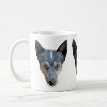 Heeler bleu/chien australien de bétail