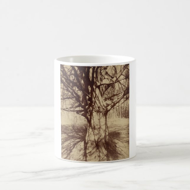 Mug Hêtre (par Eugène Atget) (Centre)
