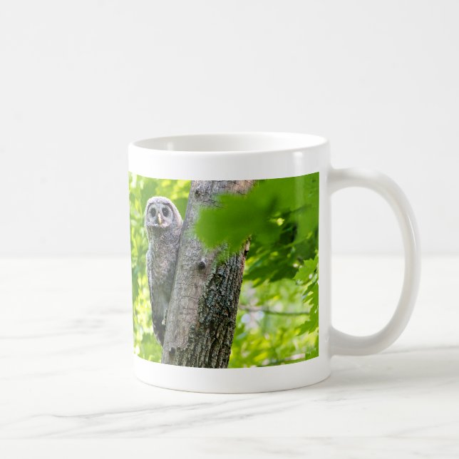 Mug Hibou mignon de bébé (Droite)