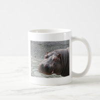 Hippopotame hardi !