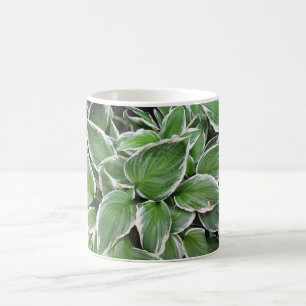 Mug Hosta Feuilles