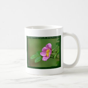 Mug Hot Springs National Park, AR Cadeaux Wild Rose