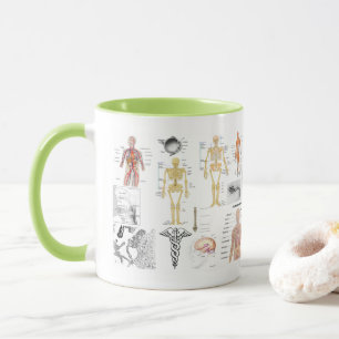 Mug Human Anatomy Charts
