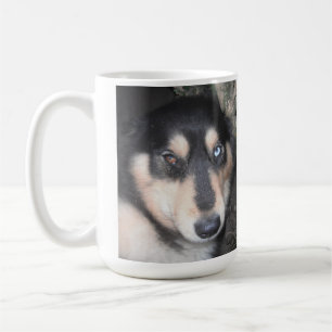 Mug Husky Un Oeil Bleu Un Oeil Brown