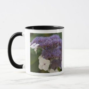 Mug Hydrangea en fleurs, Jardin chinois Dr Sun Yat-Sen