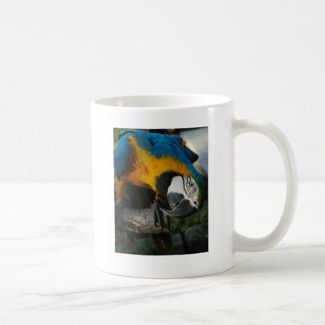 Mug ici vous regarde (Droite)