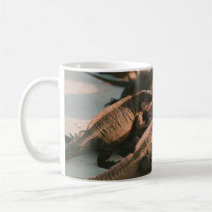 MUG IGUANA