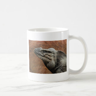 Mug Iguane de rhinocéros