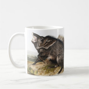 Mug Illustration de Dycoteles torquatus de Peccaire à