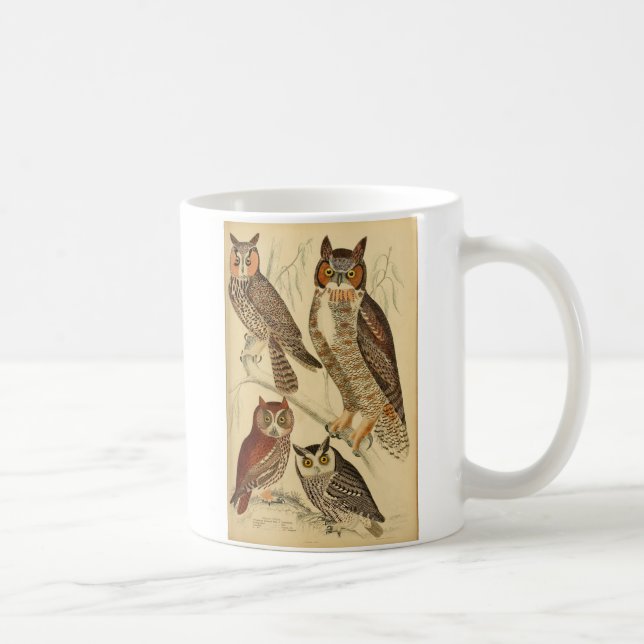 Mug Illustration de quatre hiboux (Droite)