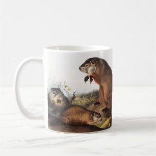 Mug Illustration de Woodchuck (Arctomys monax)