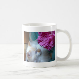 Mug image.jpg