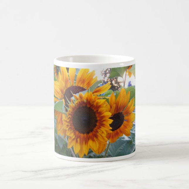 MUG IMG_1277 (Centre)