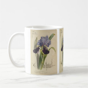 Mug Iris de jardin par Paul Jerrard